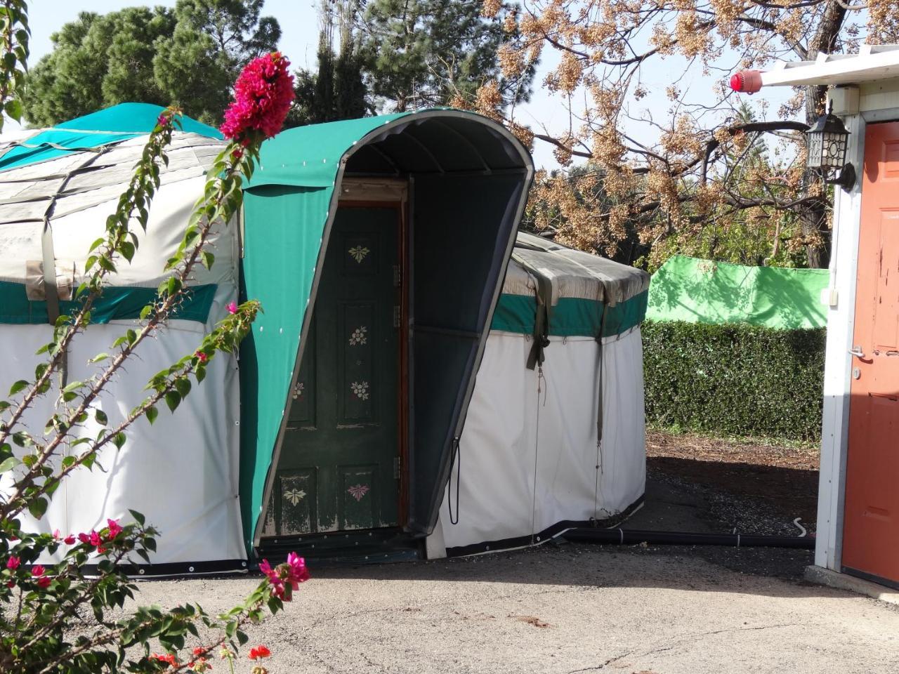 הוסטל גבעת יואב כינרת - ג'ינגס חאן בגולן מראה חיצוני תמונה